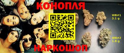 скорость Дубна