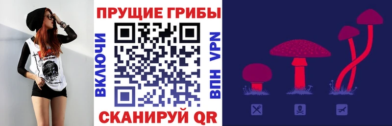 MEGA как зайти  где купить наркоту  Мирный  Галлюциногенные грибы Psilocybe 