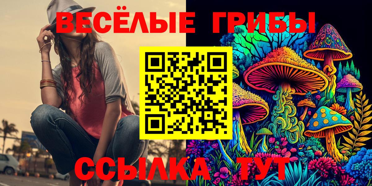 Псилоцибиновые грибы Cubensis  Вход с VPN  купить   Мирный 