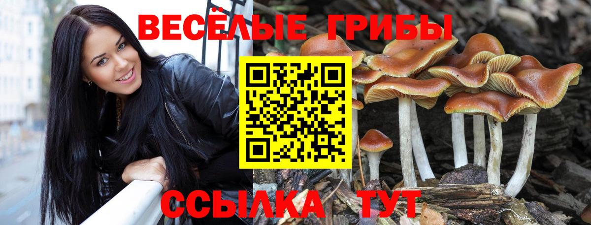 Каннабис Мирный